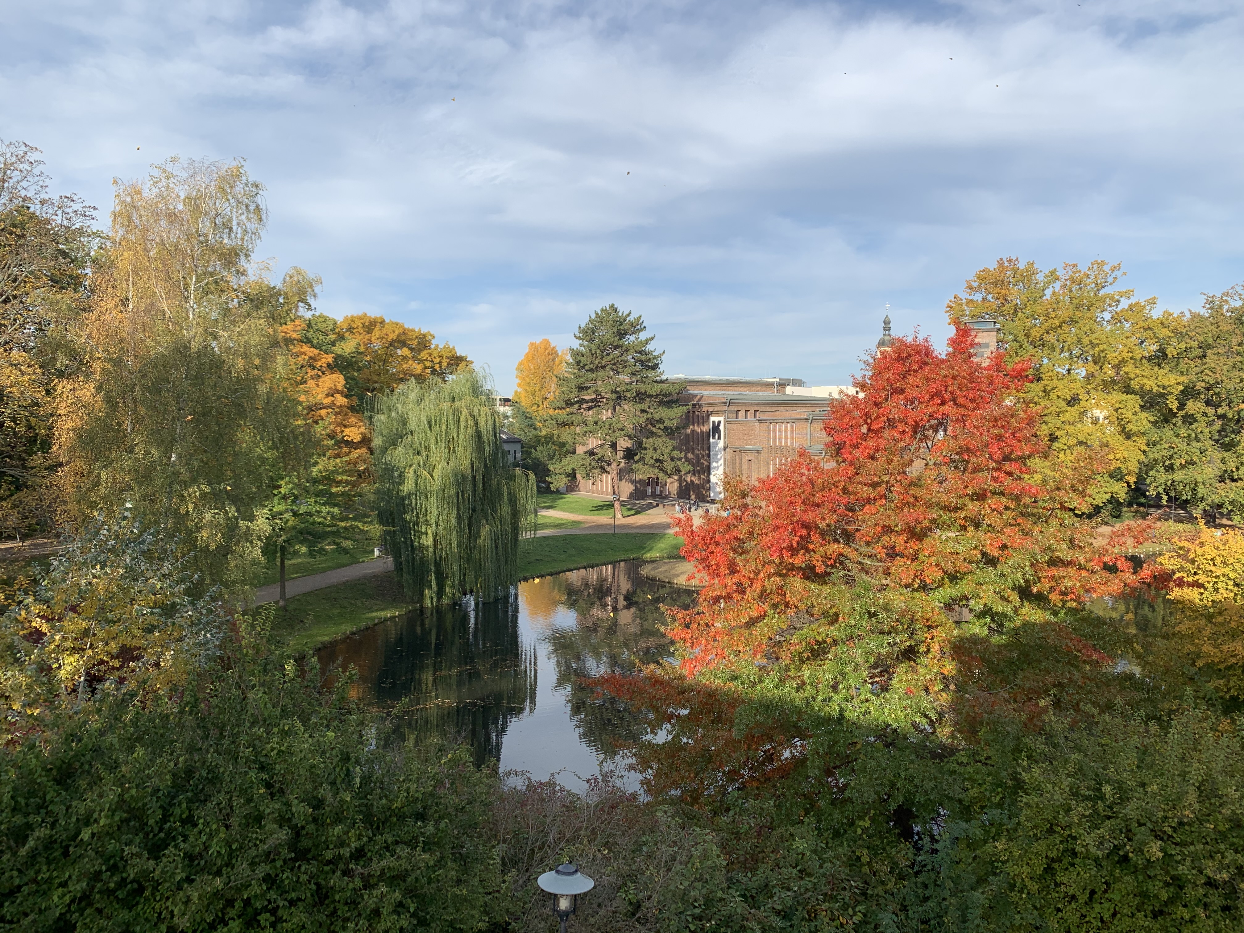 Blick aus dem Bürofenster — Amtsteich Cottbus